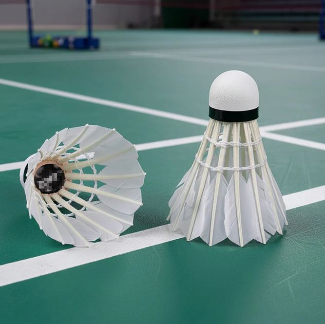 Two shuttlecocks on a green badminton court